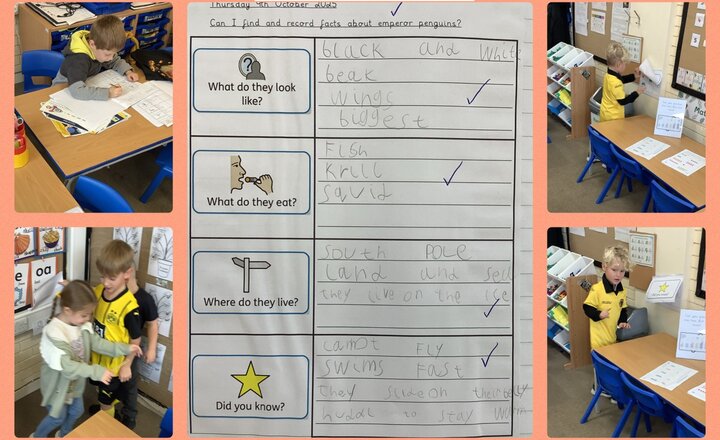 Image of Year 1 English: Fact hunt