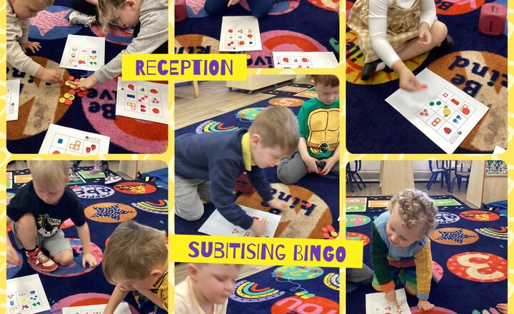 Image of Reception - Subitising Bingo