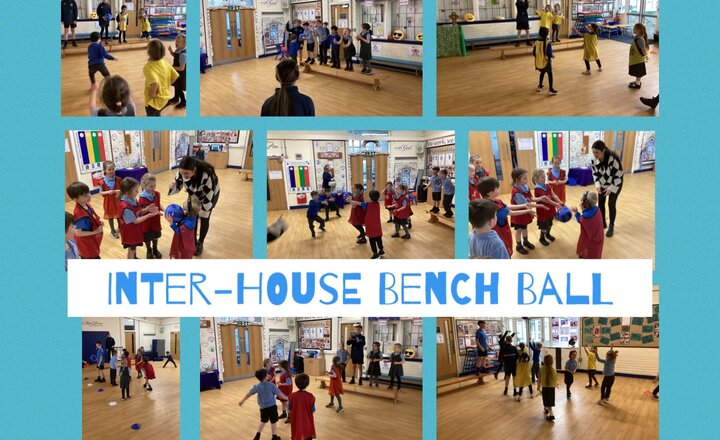 Image of Year 1 PE- Inter-House Bench Ball   