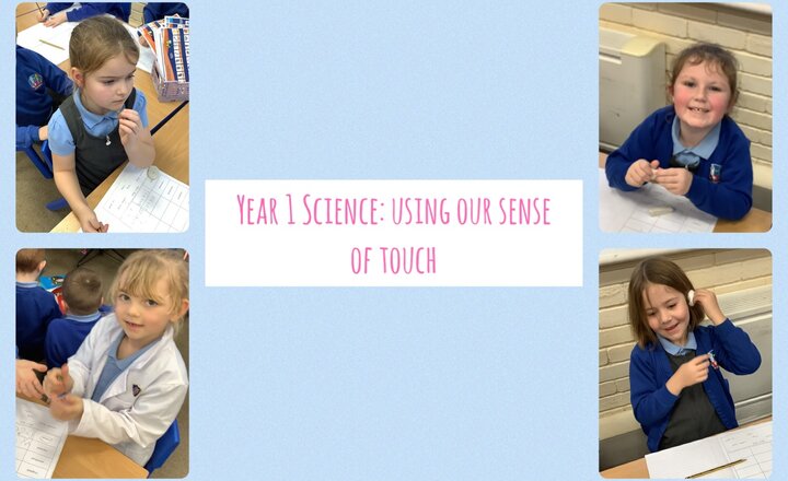 Image of Year 1 Science: using our sense of touch