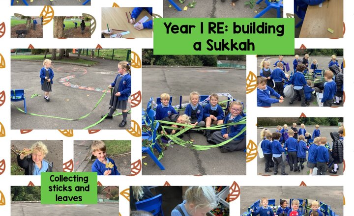 Image of Year 1 RE: building a Sukkah