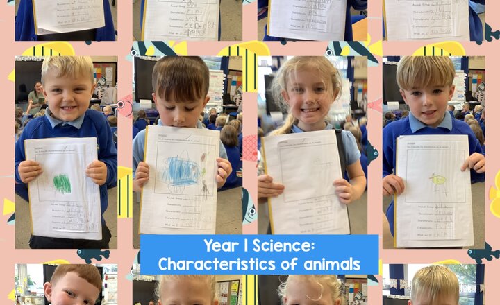 Image of Year 1 Science: Characteristics of animals