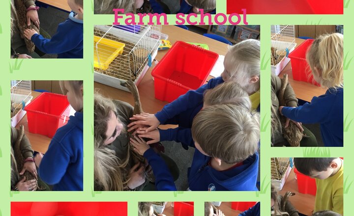 Image of Farm school 