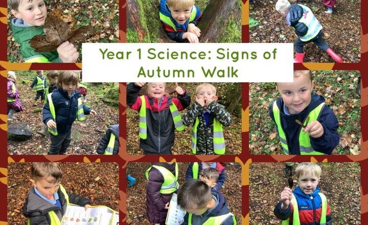 Image of Year 1 Science: Signs of Autumn Walk