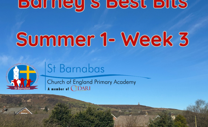Image of Barney's Best Bits- Summer 1 Week 3