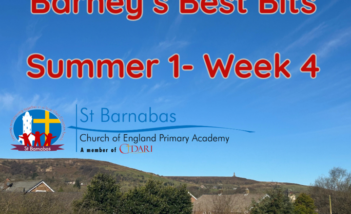 Image of Barney's Best Bits- Summer 1 Week 4