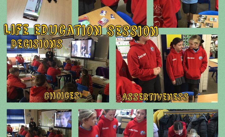 Image of Year 6 Life Education Session