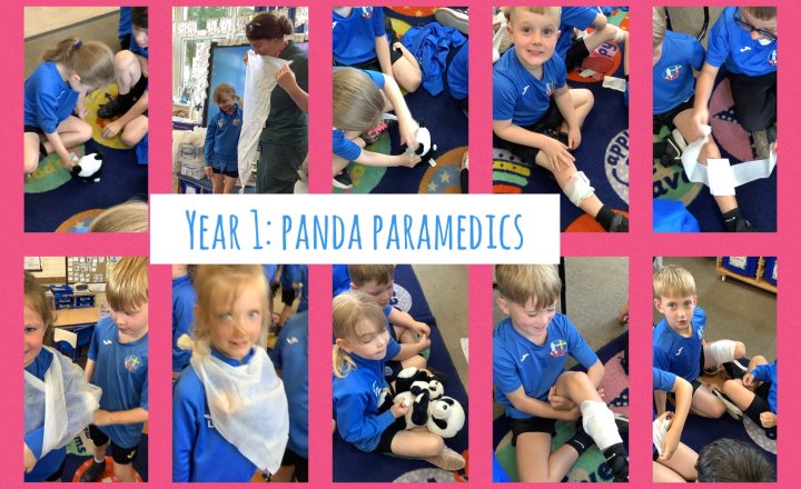 Image of Year 1: Panda Paramedics