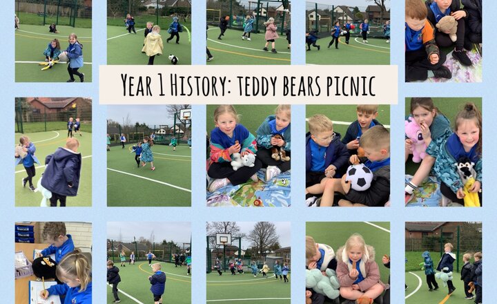 Image of Year 1 History: Teddy Bears Picnic