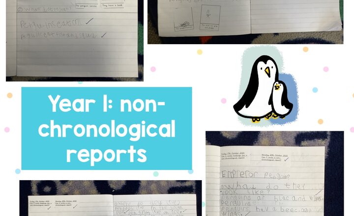 Image of Year 1: non-chronological reports