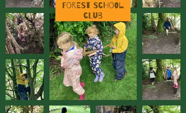 Image of Forest school club 