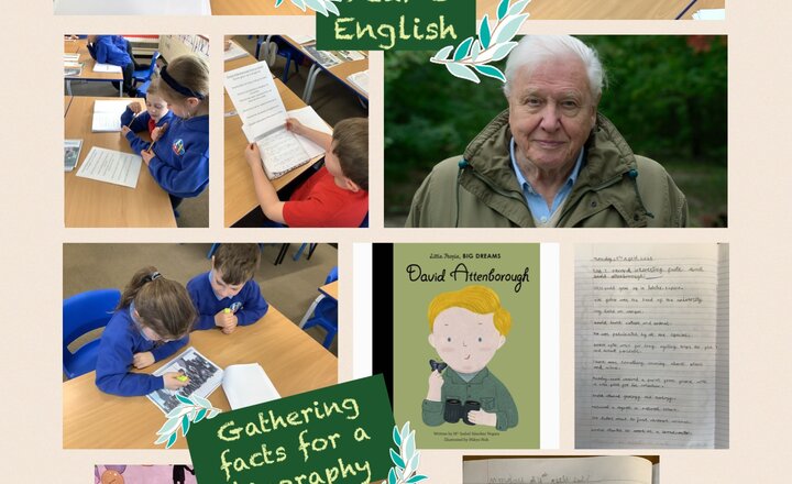 Image of Year 3 English 