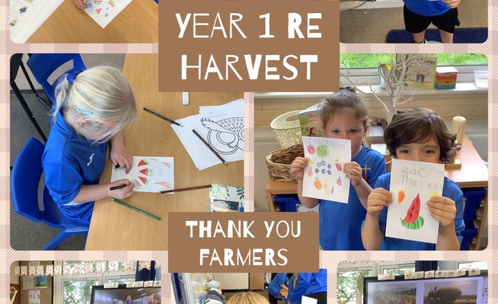 Image of Year 1 RE Harvest- Thank You Farmers