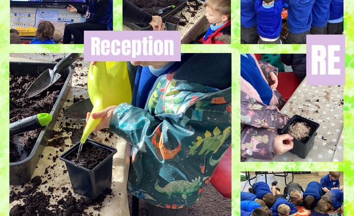 Image of Reception - The Sower and the seeds Parable 