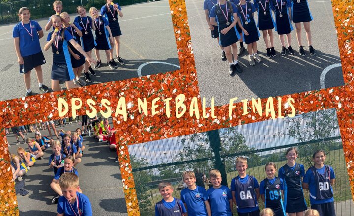 Image of DPSSA Netball Finals 