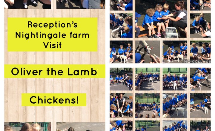 Image of Reception Farm Visit 