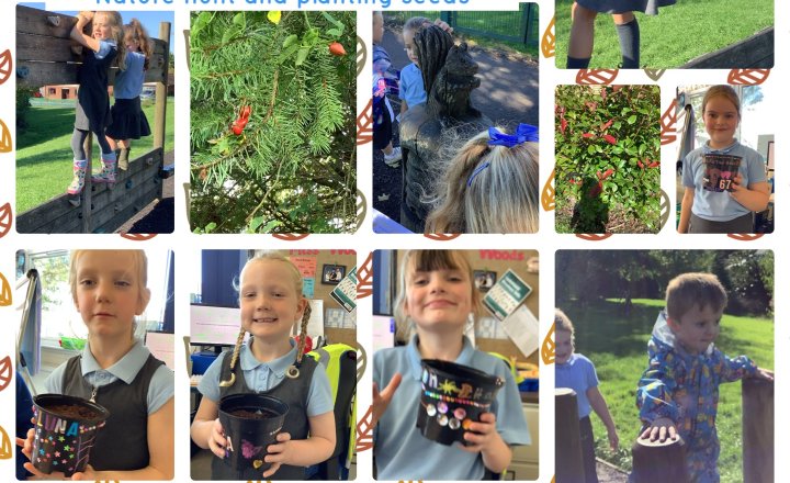 Image of Little Gardeners Club: Nature hunt and planting seeds