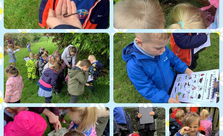 Image of Reception- minibeasts! 