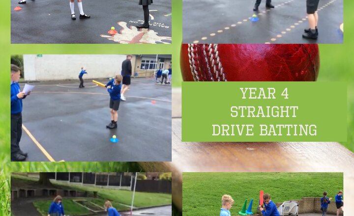 Image of Year 4 - PE: Batting Skills