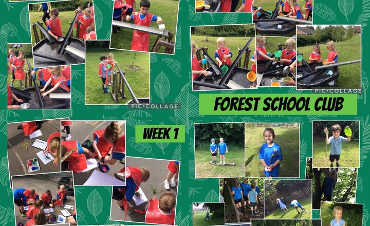 Image of Forest school club- week 1 