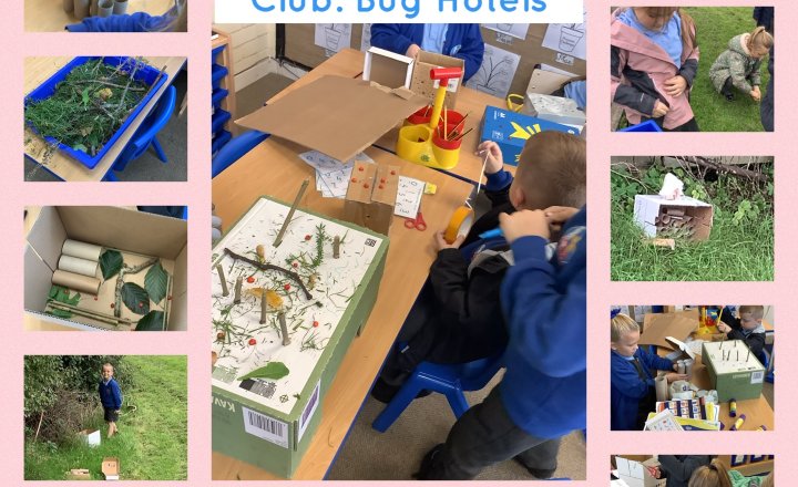 Image of Little Gardeners Club: Bug Hotels