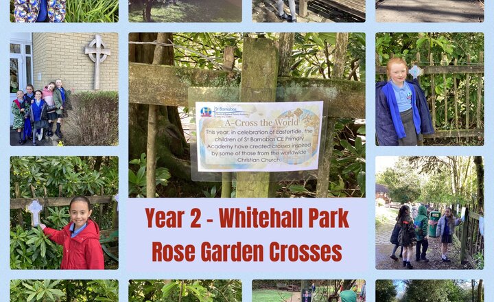 Image of Year 2 visit the Rose Garden