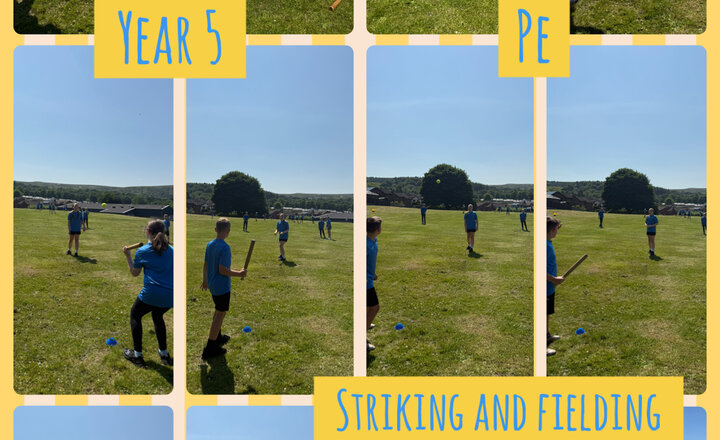 Image of Year 5 - Striking and Fielding 