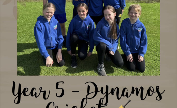 Image of Year 5 - Dynamos Cricket