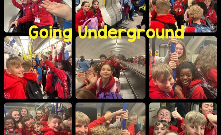 Image of Year 6- Going Underground