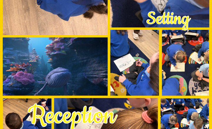 Image of Reception: English 