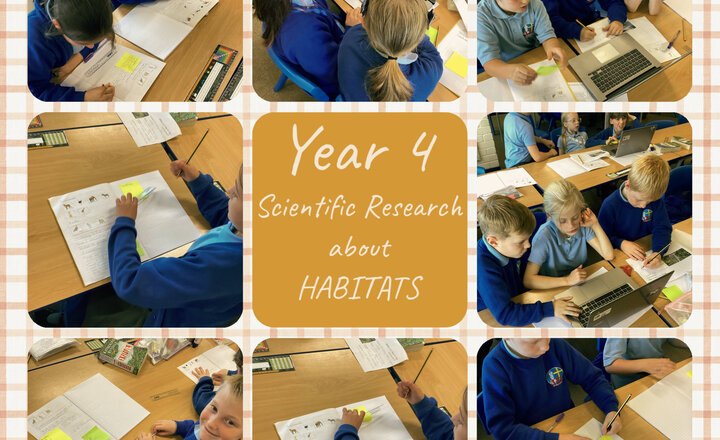 Image of Year 4 - Science: Researching Habitats