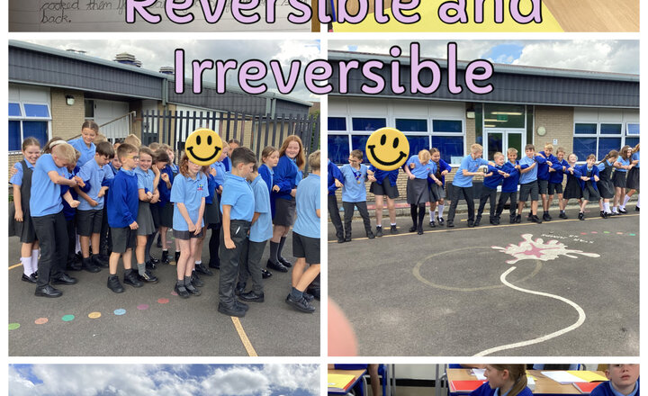 Image of Year 5 - Science