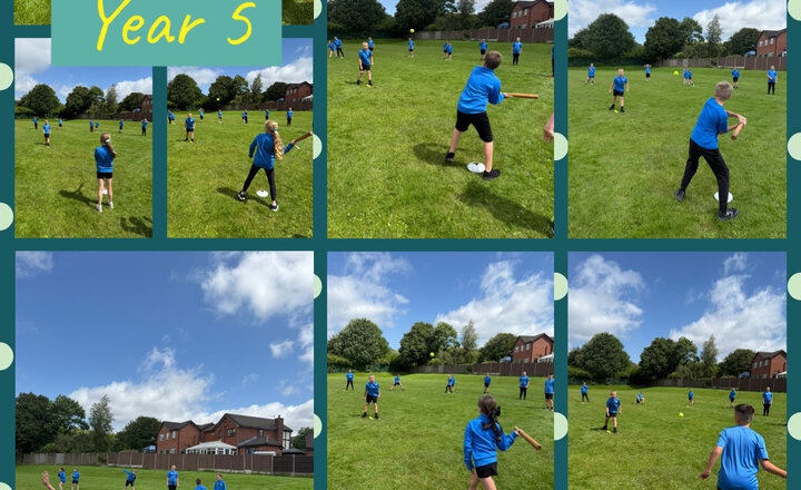 Image of Year 5 - Striking and Fielding 