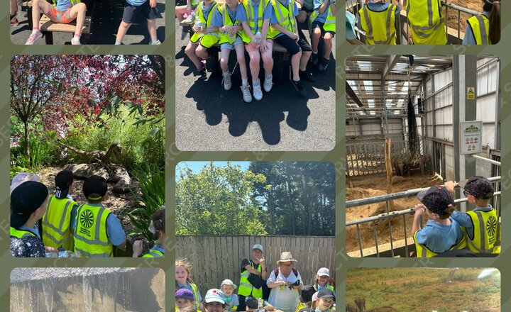 Image of Year 2 - Blackpool Zoo Trip 