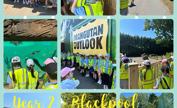 Image of Year 2 - Blackpool Zoo Trip 