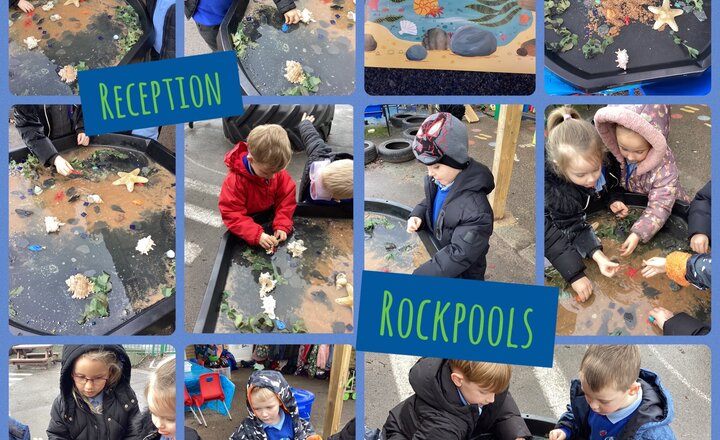 Image of Reception Rockpools