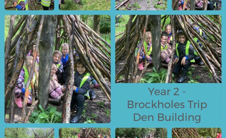 Image of Year 2 - Brockholes Trip - Den Building