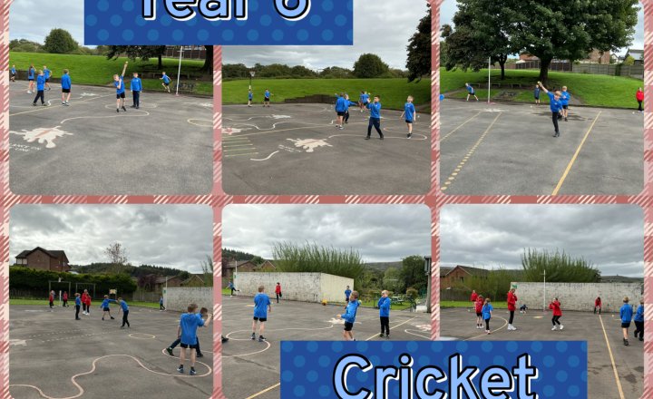 Image of Year 6 - Cricket 