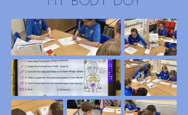 Image of Year 2  - PSHE - What does my body do?
