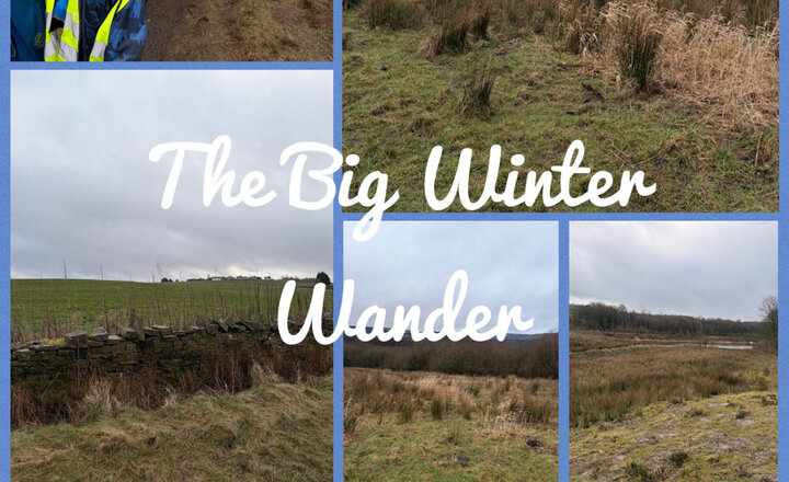 Image of Reception class contribute to the Big Winter Wander