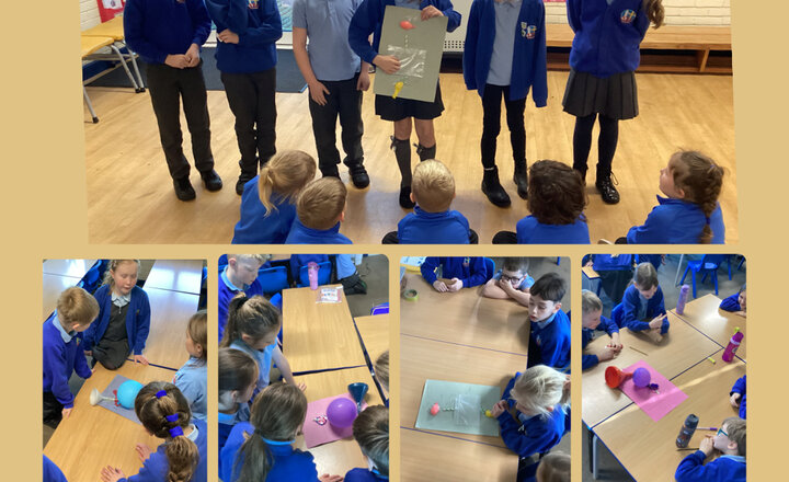 Image of Year 4 - Presentation of Learning