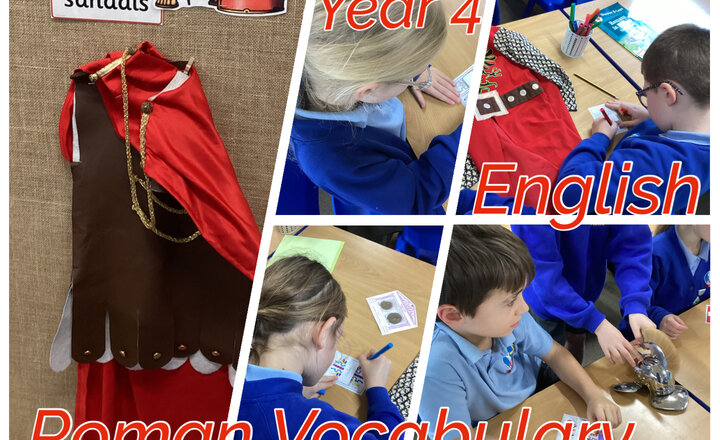Image of Year 4 - English: Roman Vocabulary