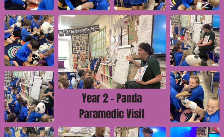 Image of Year 2 - Panda Paramedic Visit