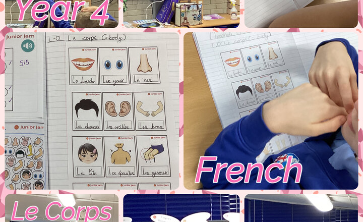 Image of Year 4 - French: Le Corps
