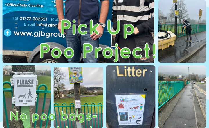 Image of Enough is Enough: Help Us Keep Our Pavements Poo-Free!