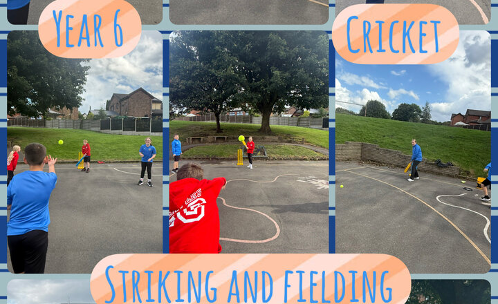 Image of Year 6 - Striking and Fielding
