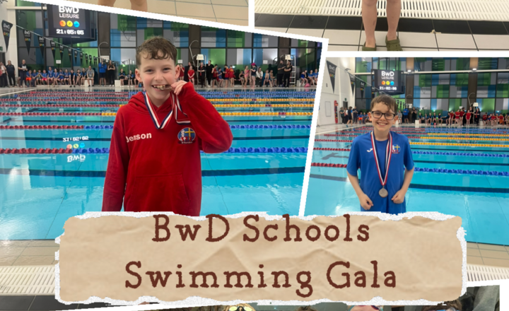 Image of Blackburn with Darwen Schools Swimming Gala