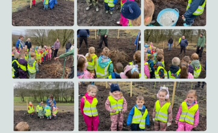 Image of Reception Planting Trees