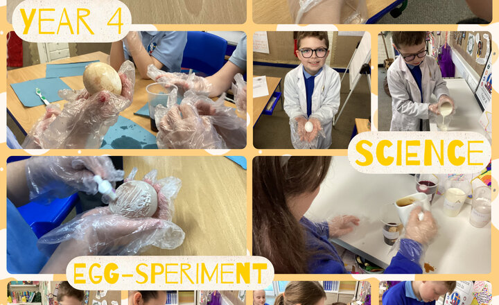 Image of Year 4 - Science: Effects of Liquids on Teeth