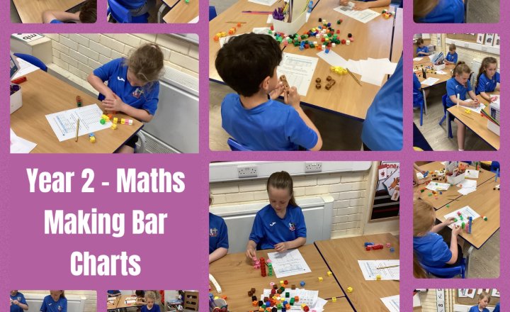 Image of Year 2 - Maths - Making Bar Charts